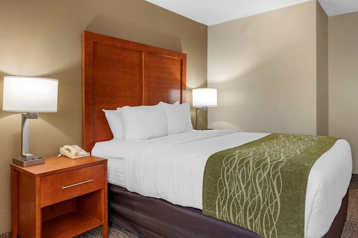 Queen Bed Accessible (3 of 10)