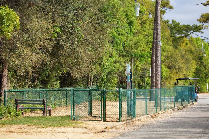 Pet Friendly 75 of 96