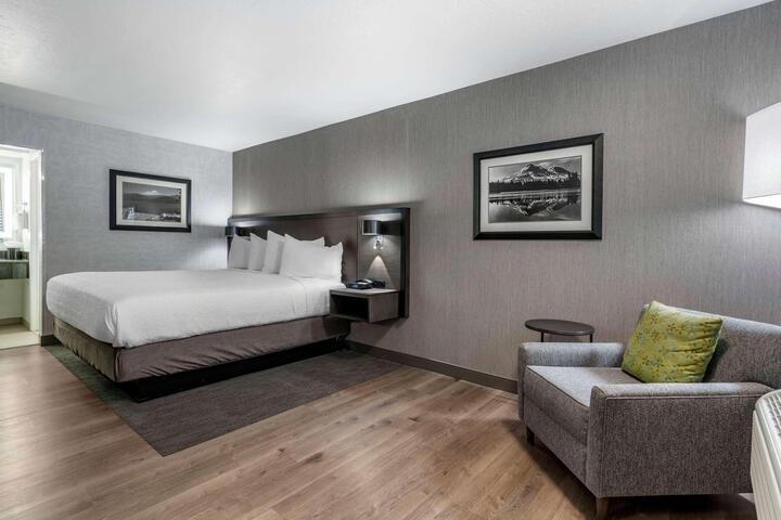 1 King Bed Sofa Bed Pet Friendly Room Work Desk Microwave and Refrigerator Full Breakfast (5 of 17)