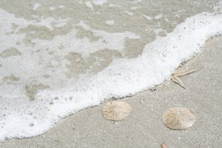 Beach 4 of 24