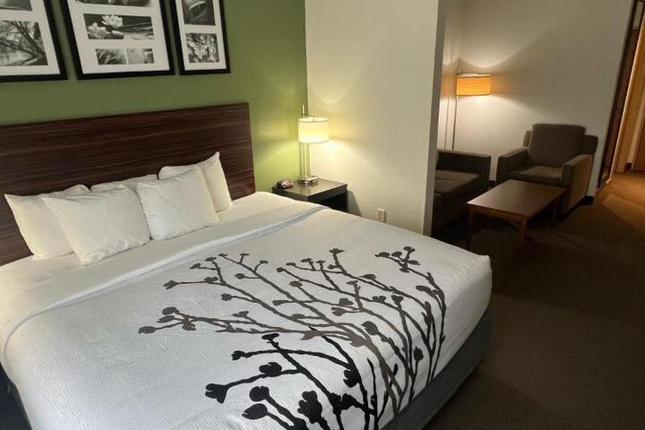 1 King Bed Accessible (4 of 13)