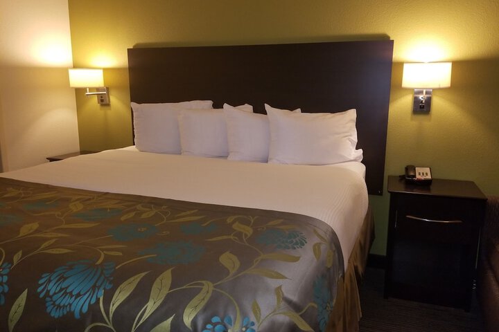 1 King Bed (6 of 12)
