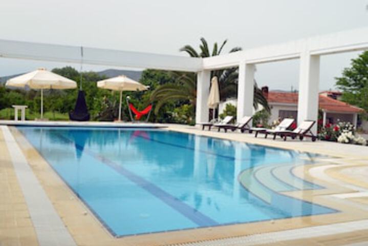 Pool 3 of 5