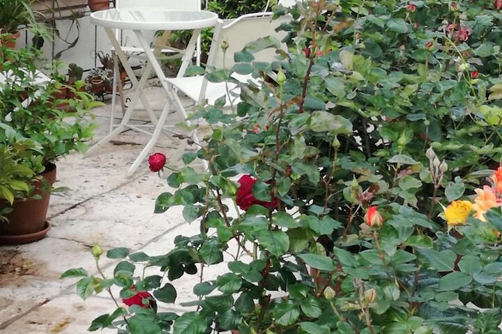 Property Grounds 19 of 20
