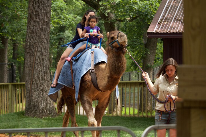 Childrens Activities 115 of 140