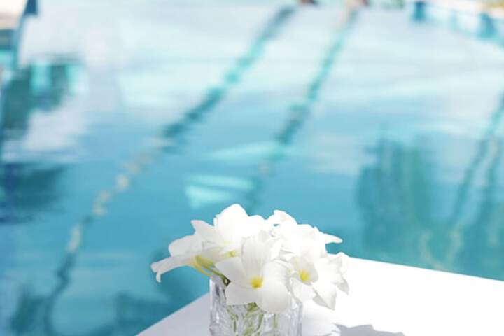 Dining 67 of 71