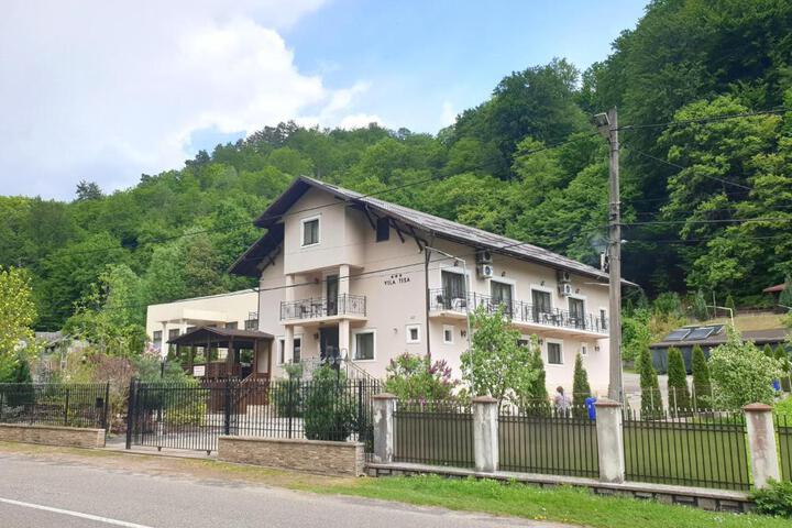 Vila Tisa
