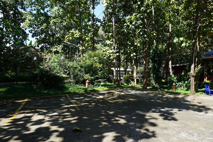 Property Grounds 11 of 56