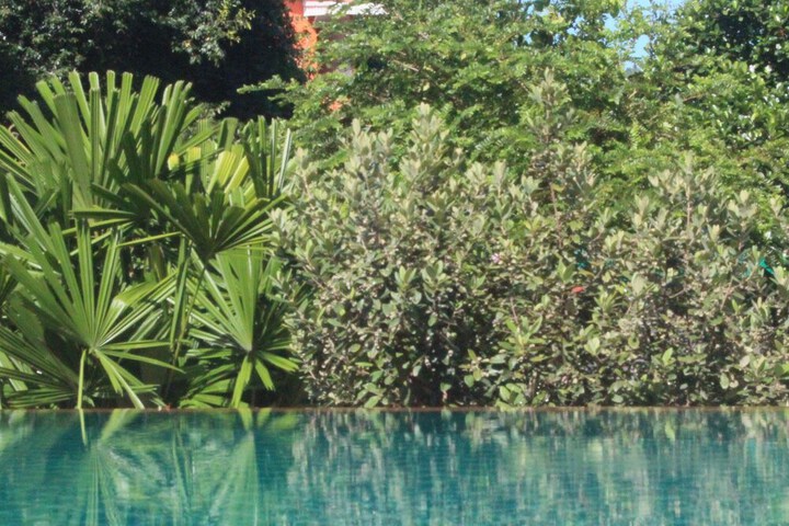 Hotel Pool
