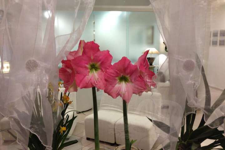 Ballroom/Hall 44 of 62