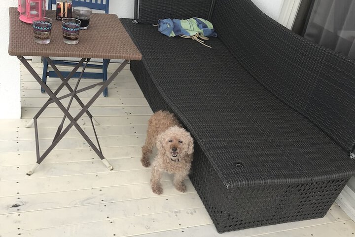 Sundeck 17 of 19