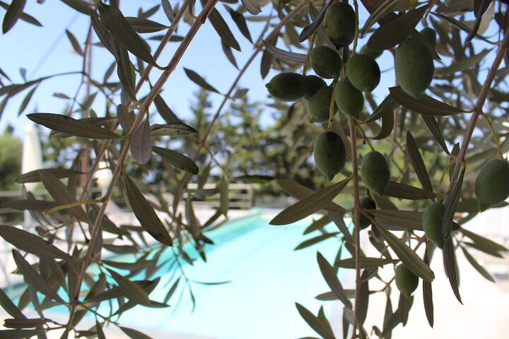 Pool 33 of 45