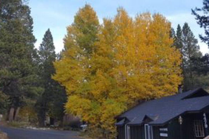 Hotel Interior 10 of 63