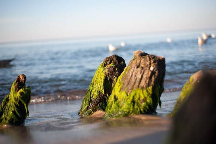 Beach 121 of 132