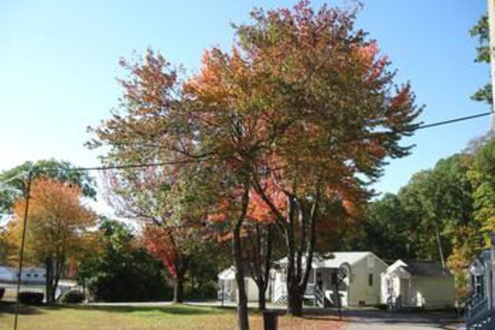 Property Grounds 8 of 12