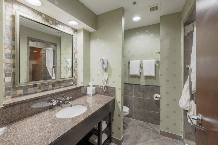1 King Bed Suite (14 of 23)