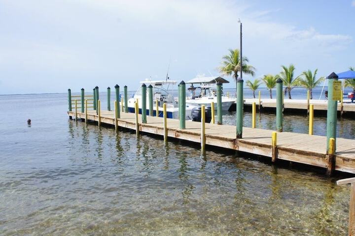 Property Grounds 117 of 128