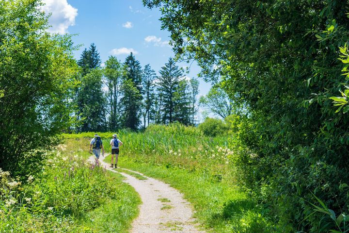 Outdoor Activities 22 of 43
