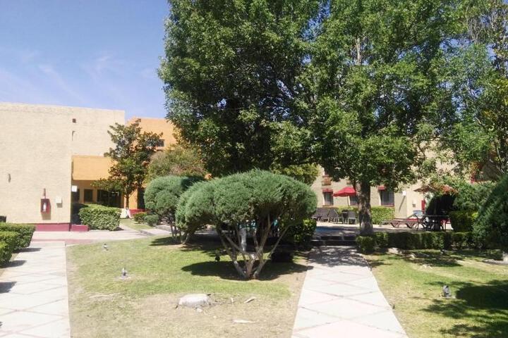 Photo 28