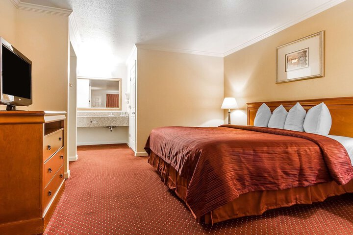 1 King Bed Accessible (12 of 16)