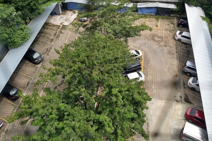Property Grounds 45 of 52