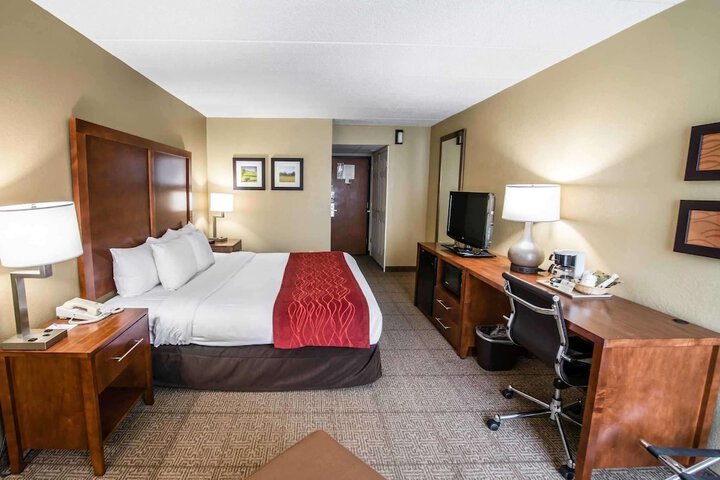 1 King Bed (3 of 8)