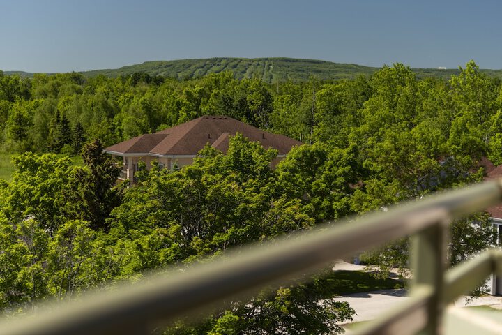 Hotel View 82 of 88