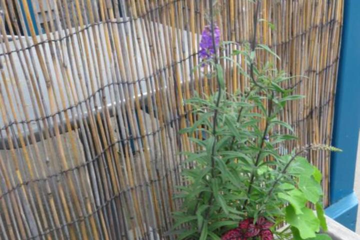 Photo 67