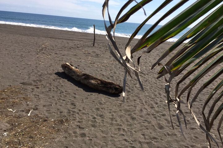 Beach 193 of 228