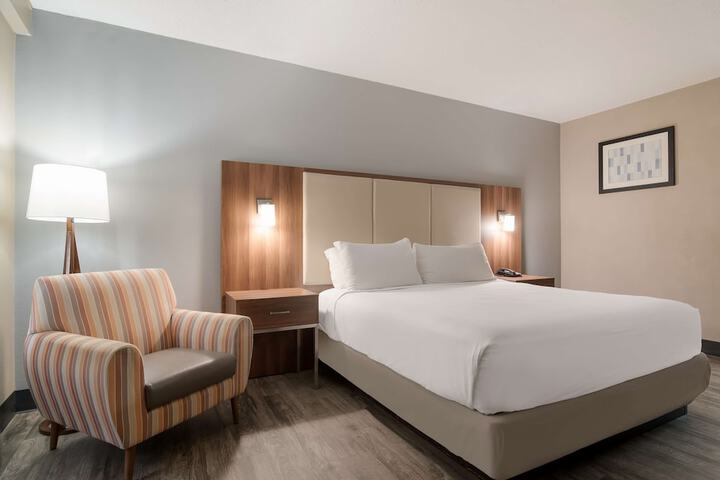 1 King Bed (9 of 15)