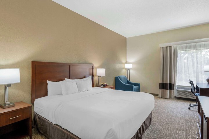 1 King Bed (8 of 9)