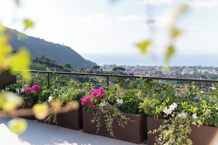 Terrace/Patio 146 of 155