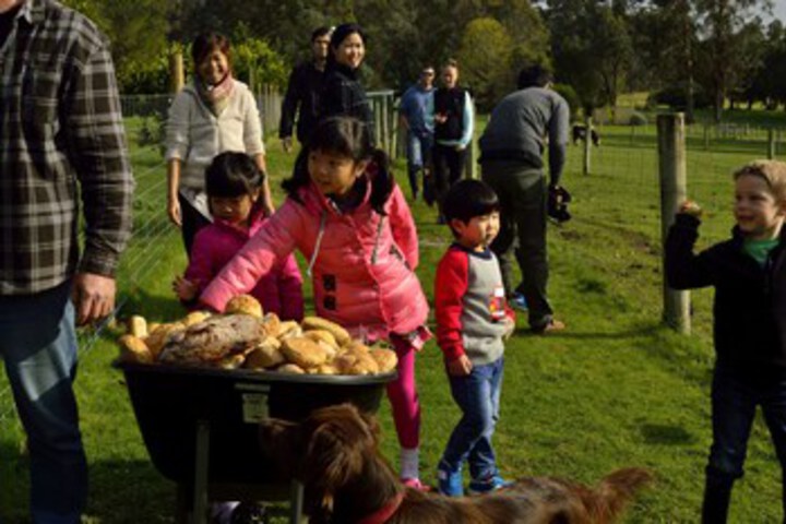 Childrens Activities 64 of 144