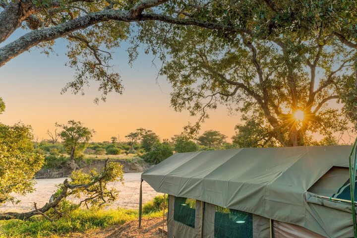 Image of Kruger Untamed - Tshokwane River Camp