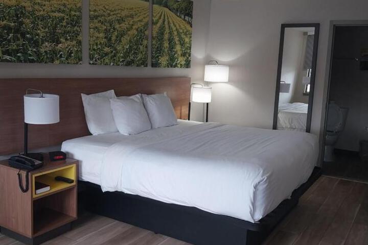 1 King Bed (6 of 8)