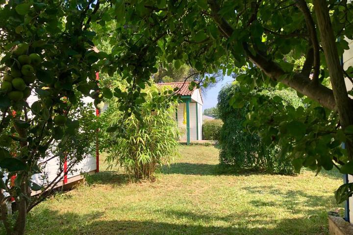 Photo 27