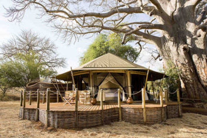 Sanctuary Swala