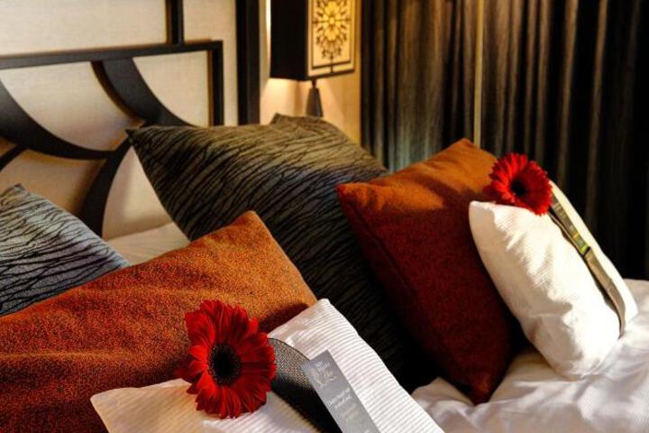 Standard Suite