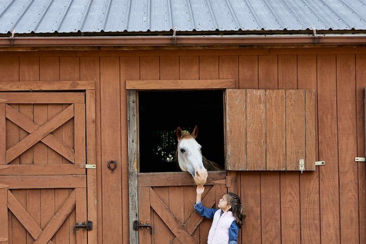 Childrens Activities 97 of 115