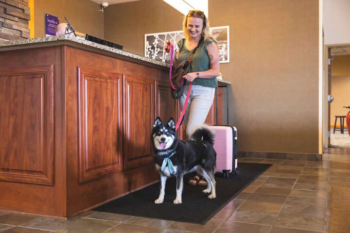 Pet-friendly