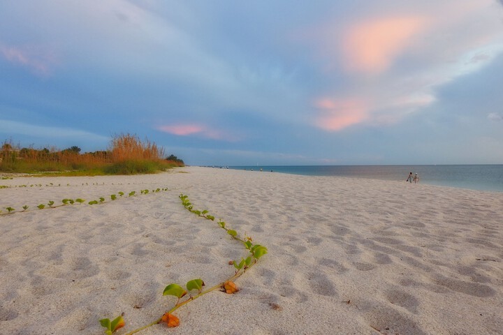 Beach/ocean view
