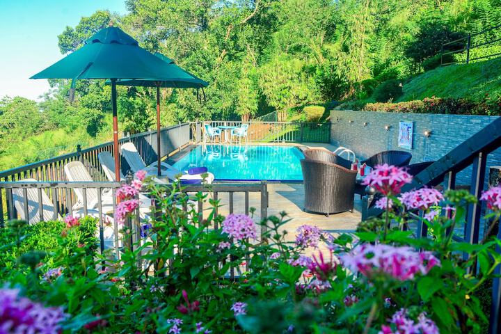 Pool 22 of 59