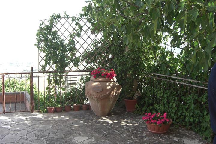 Property Grounds 36 of 61