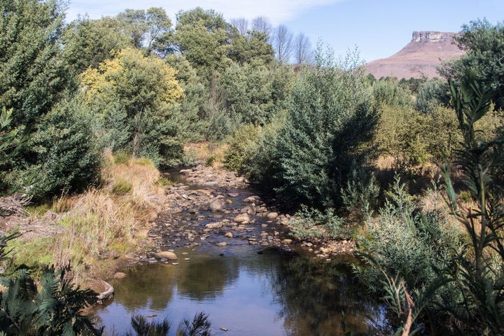 Property Grounds 76 of 92