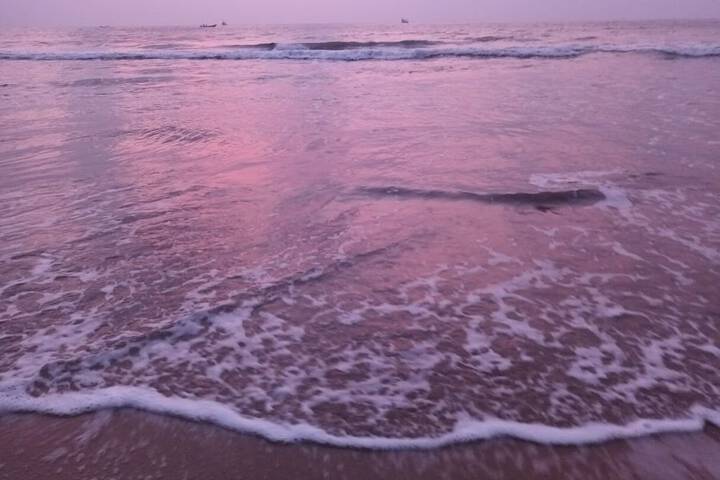 Beach 153 of 195