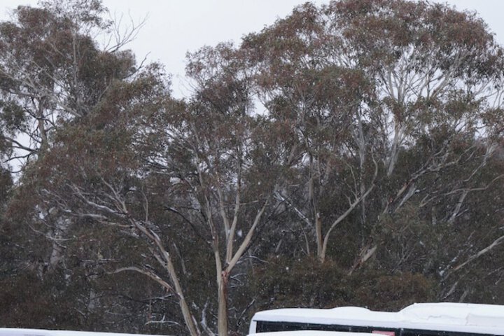 Amenity Photo