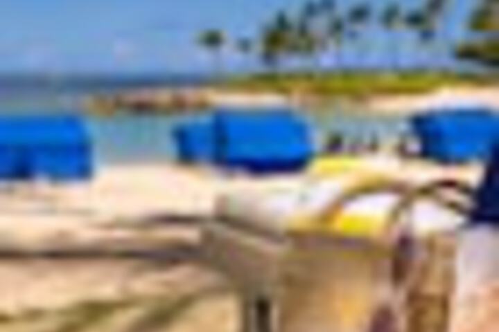 Beach 146 of 192