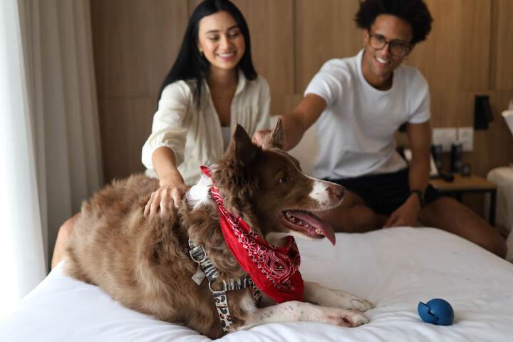 Pet Friendly 60 of 93