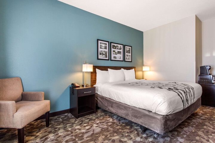 1 King Bed (9 of 17)