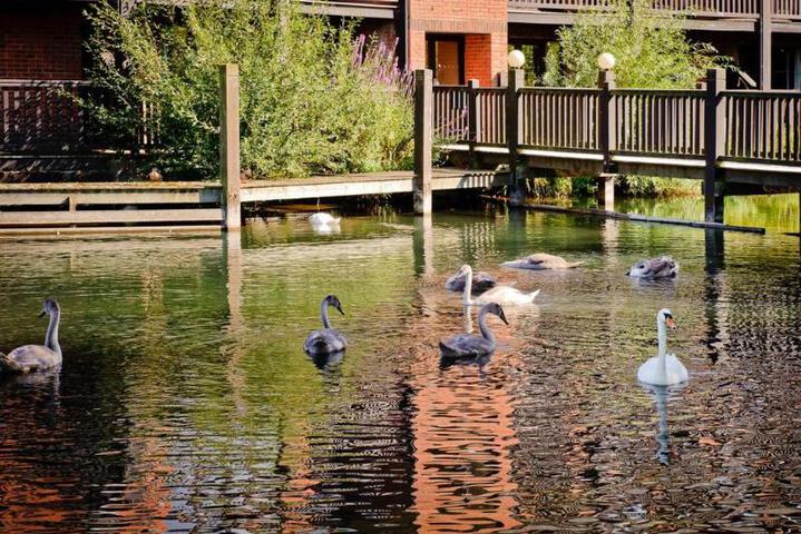 The Reading Lake Hotel in Reading